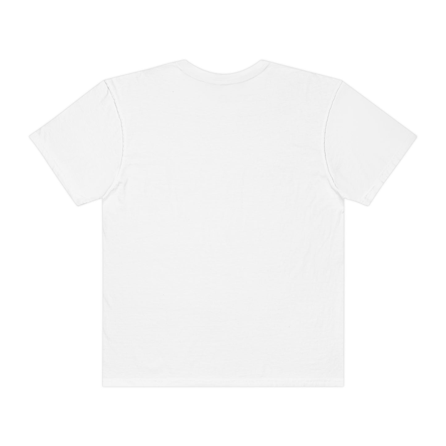 Digital Assets Unisex Garment-Dyed T-shirt