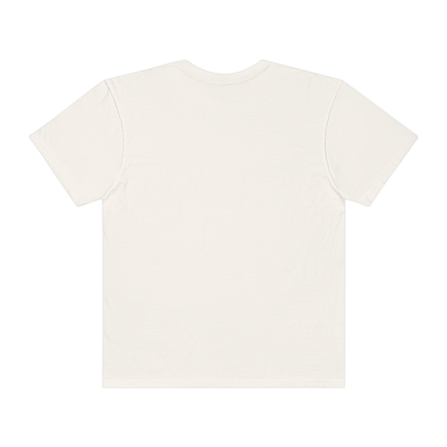 Digital Assets Unisex Garment-Dyed T-shirt