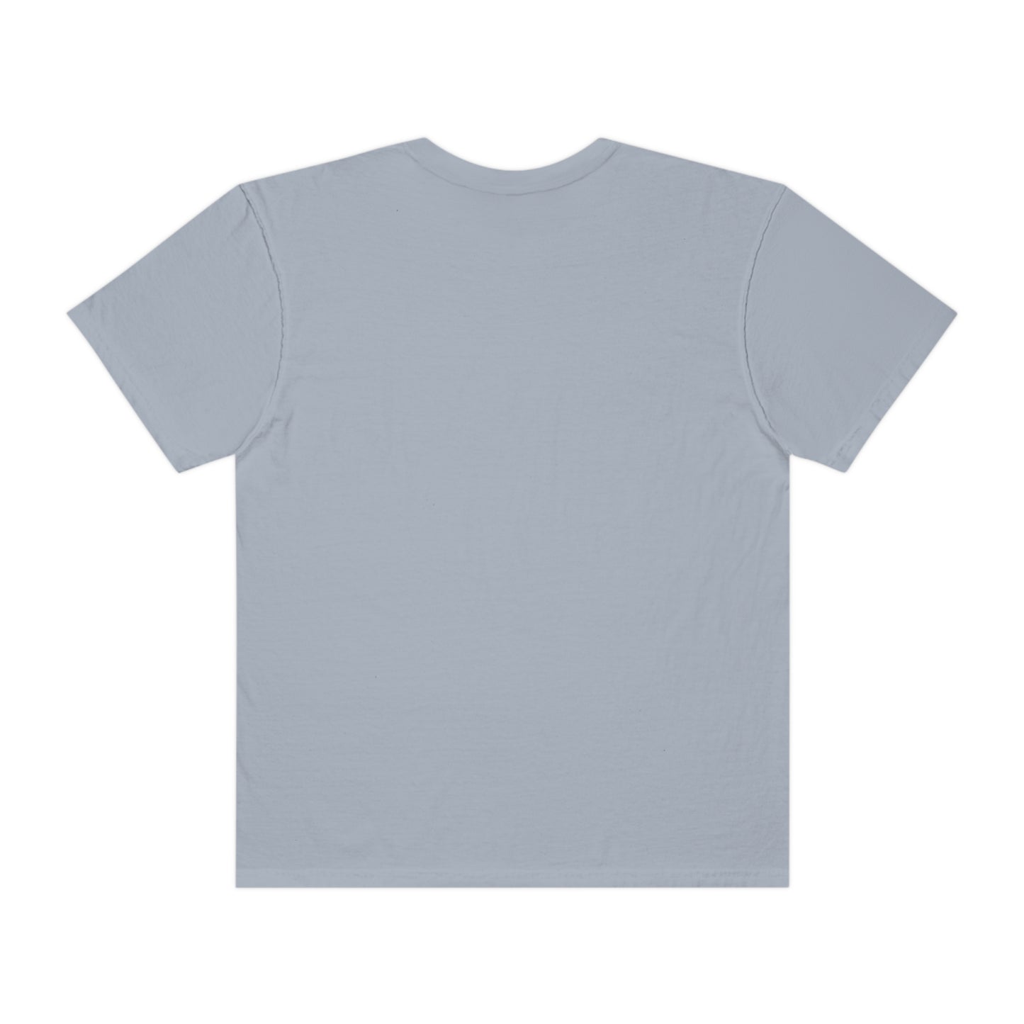 Digital Assets Unisex Garment-Dyed T-shirt