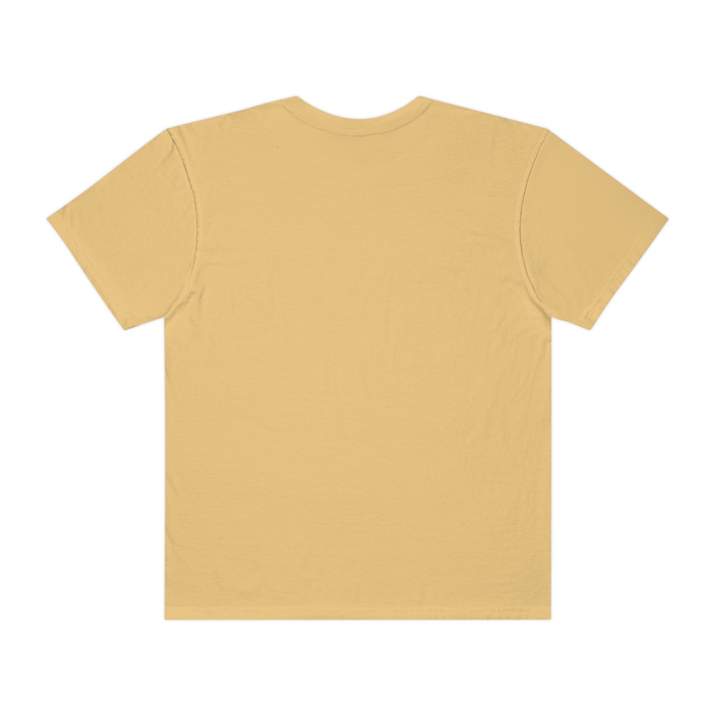 Digital Assets Unisex Garment-Dyed T-shirt