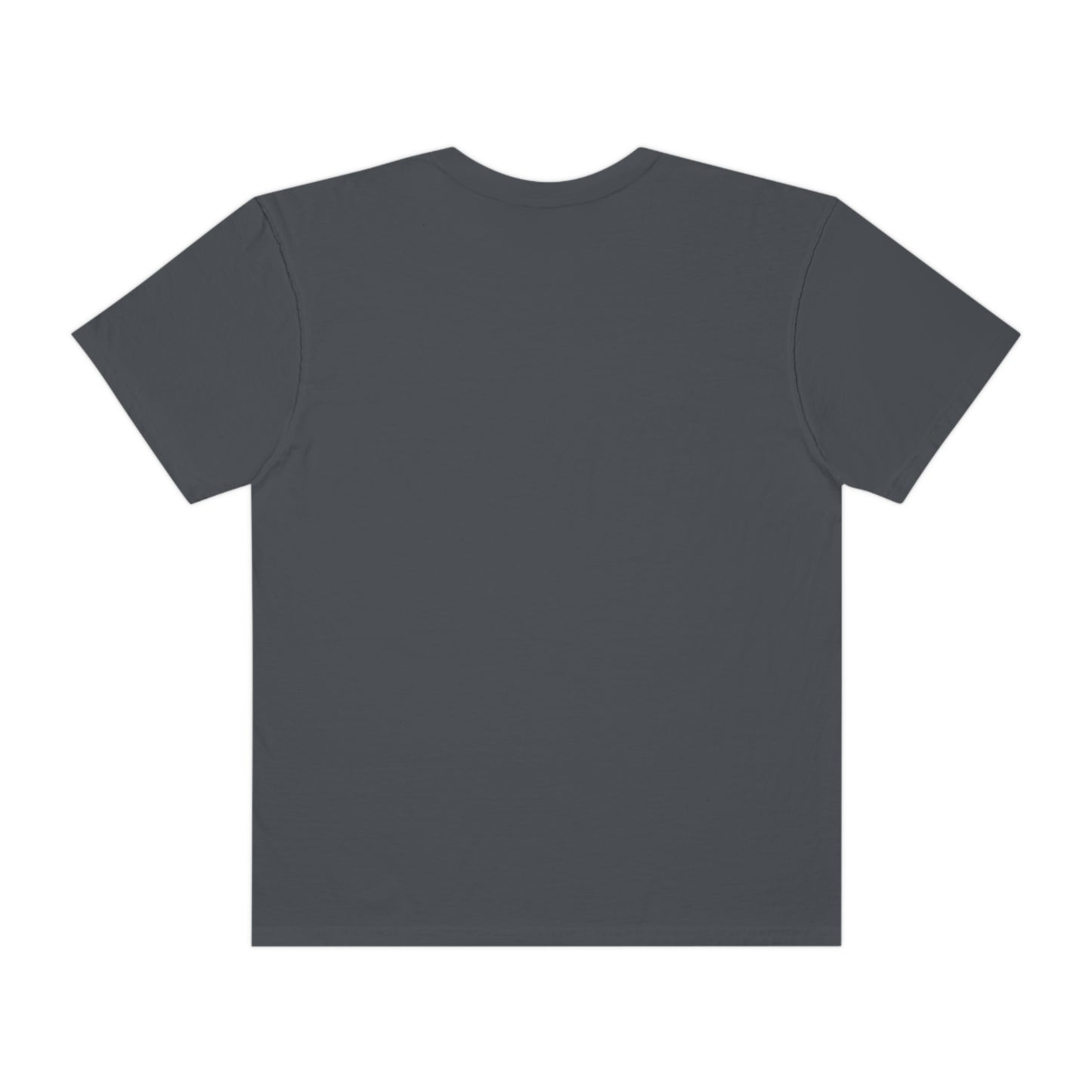 Digital Assets Unisex Garment-Dyed T-shirt