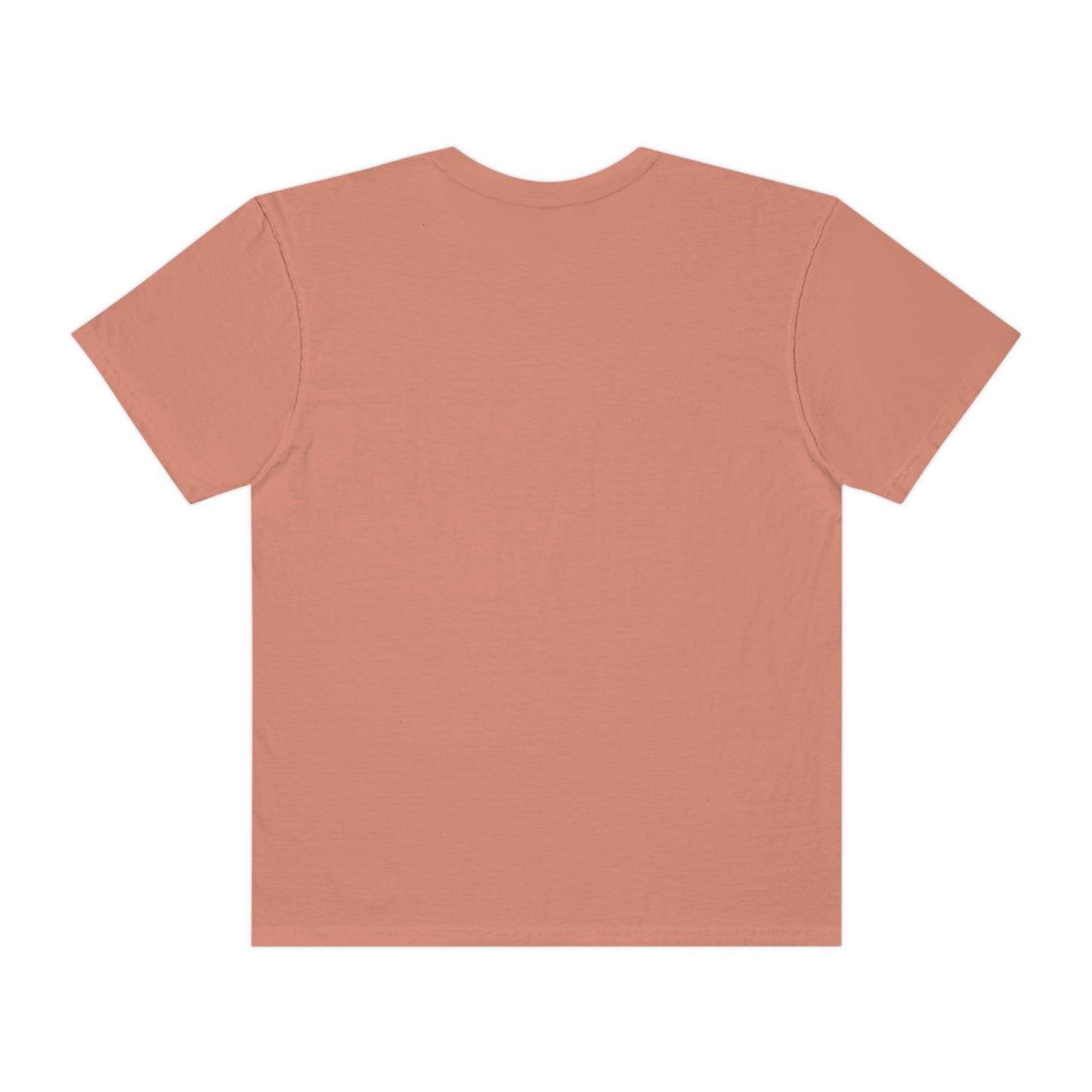 Digital Assets Unisex Garment-Dyed T-shirt
