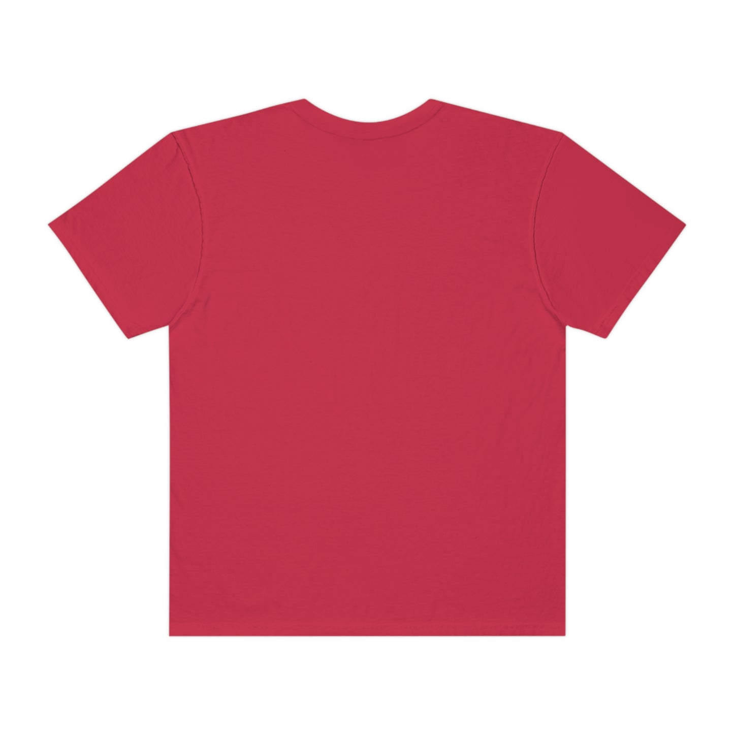 Digital Assets Unisex Garment-Dyed T-shirt