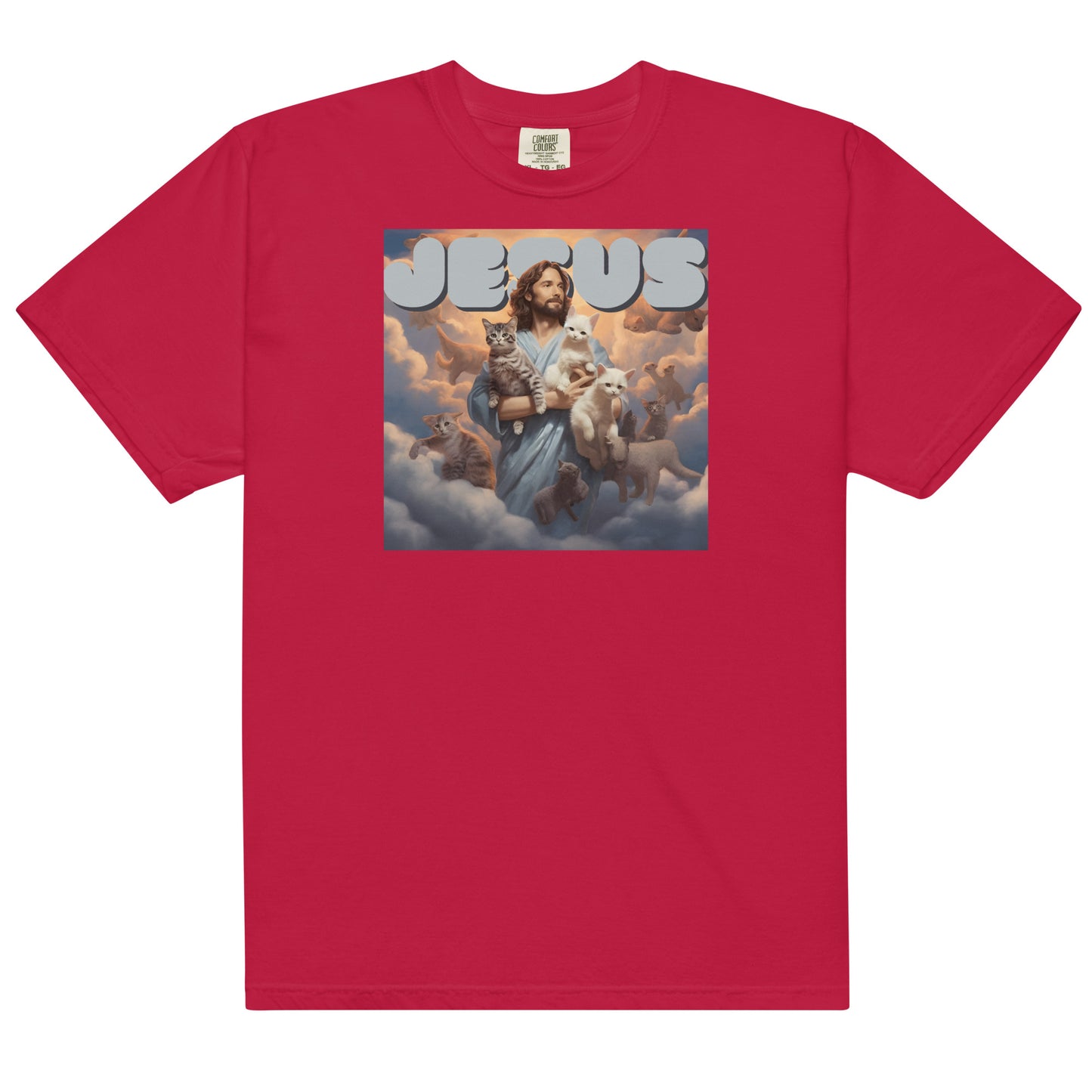 Jesus and His Cats Men’s garment-dyed heavyweight t-shirt