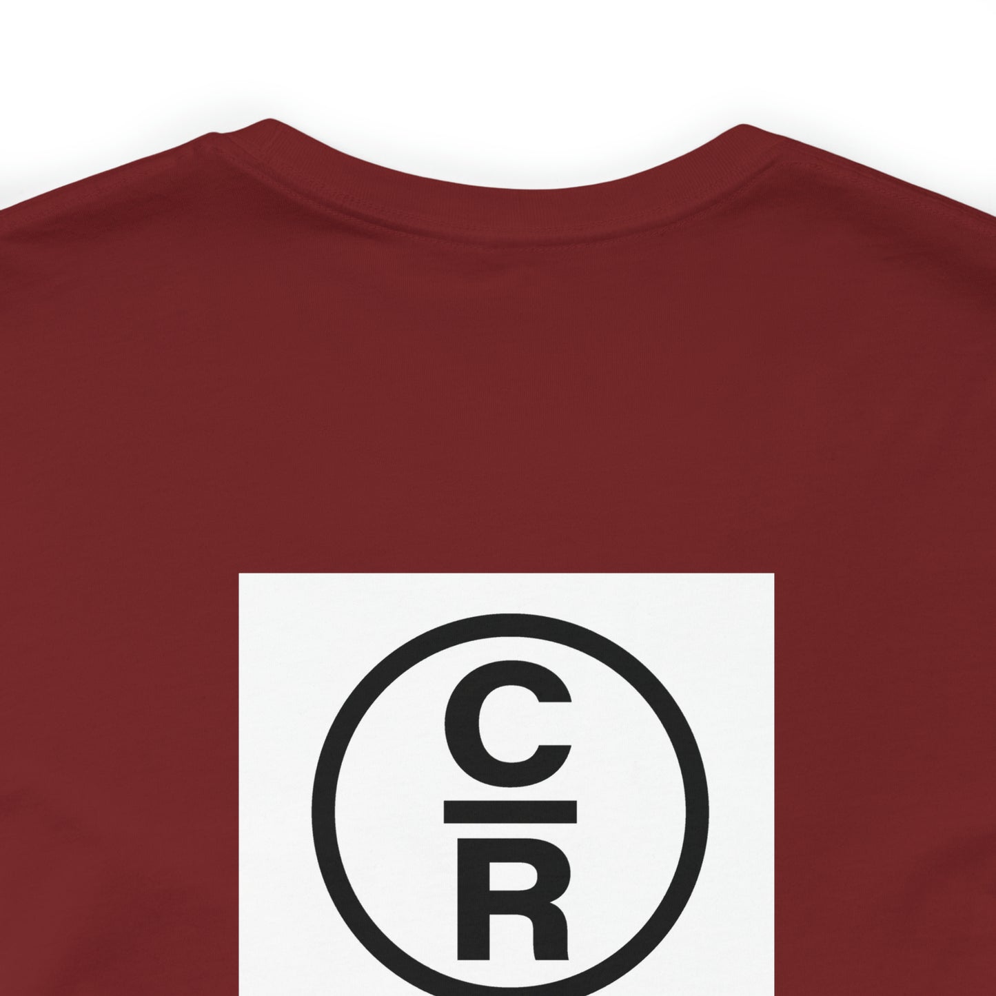 5 Months  Sober Unisex Jersey Short Sleeve Tee